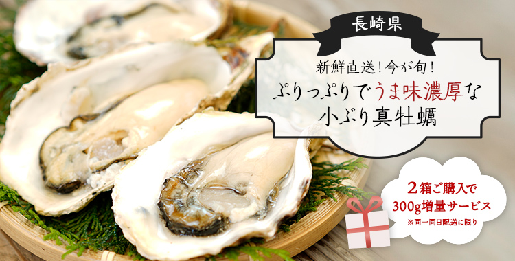 新鮮直送！今が旬！ぷりっぷりでうま味濃厚な小ぶり真牡蠣